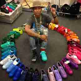 Pharrell Adidas Sneakers