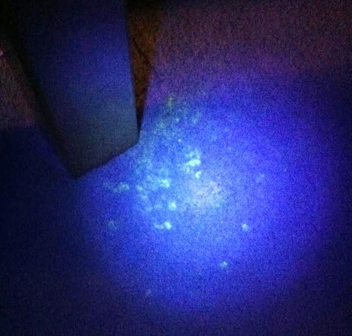 uvBeast Black Light UV Flashlight V3 385390nm Rechargeable 18650 Batt