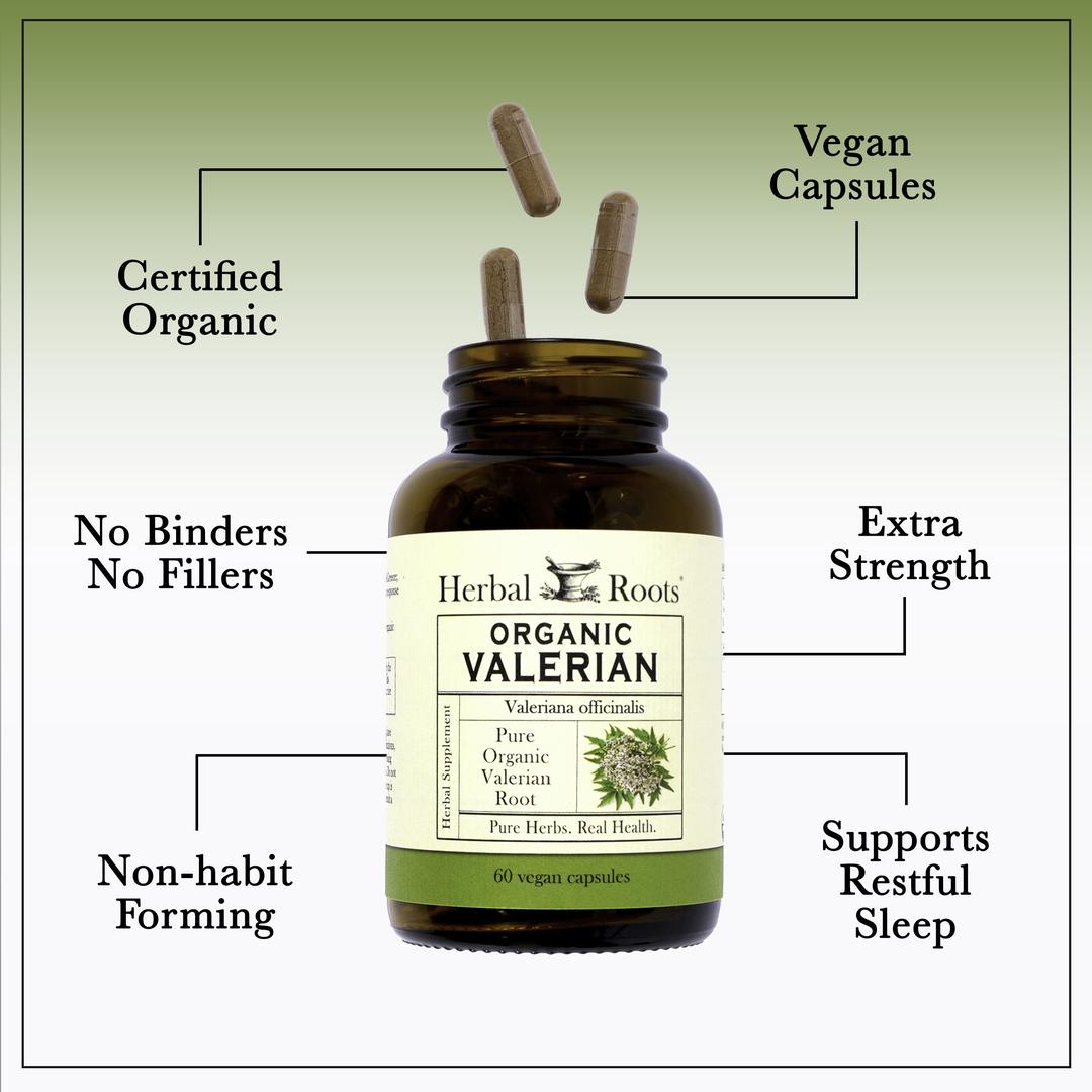 Herbal Roots organic valerian supplement with 3 capsules coming out of the top. There are lines coming from the bottle with text that says vegan capsules, certified organic, no binders, no fillers, extra strength, non-habit forming and supports restful sleep.