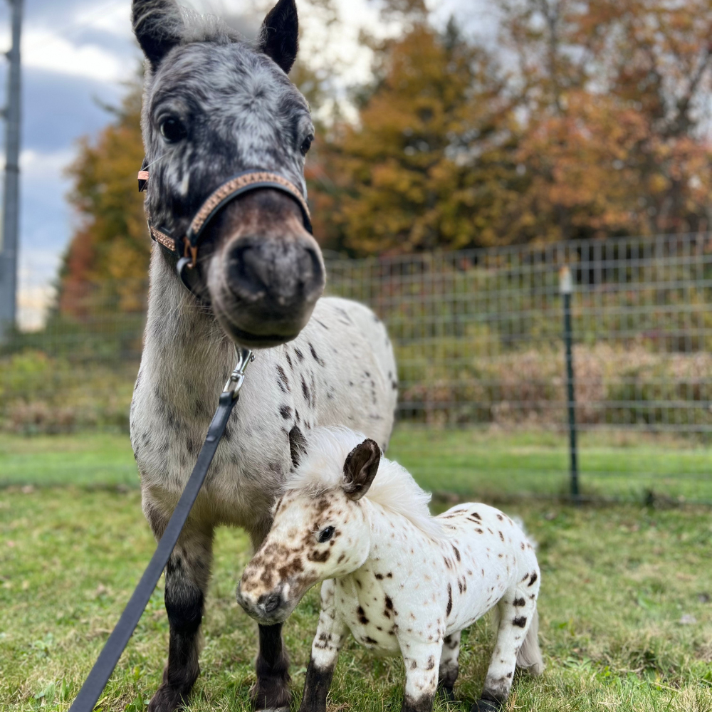 Custom Stuffed Animal Handcrafted