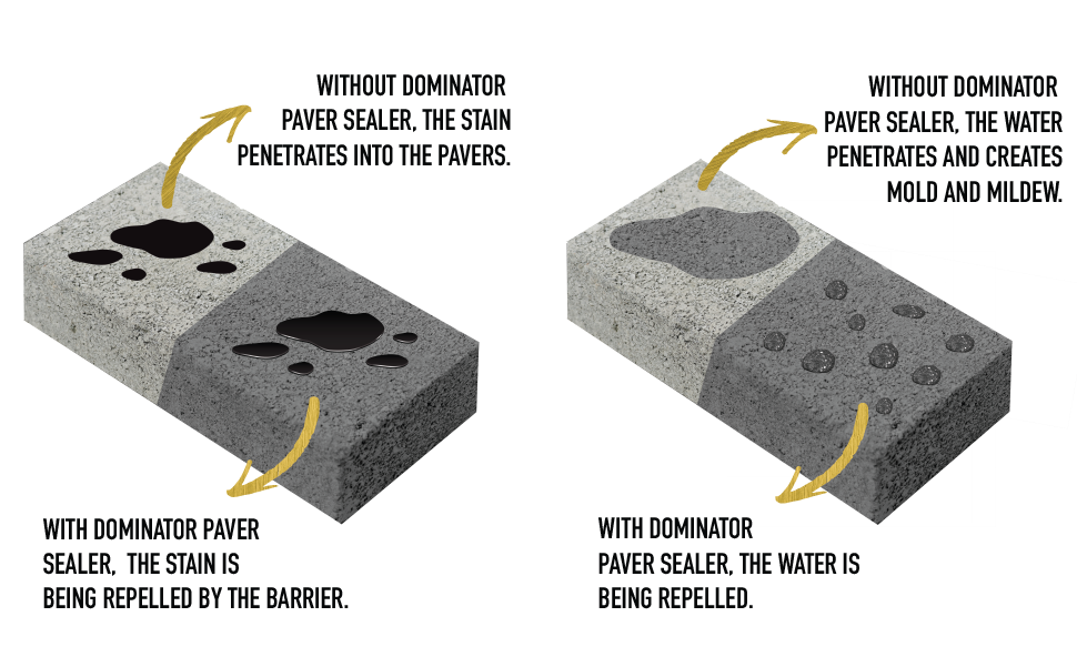 DOMINATOR Wet Look, Color Enhancing Paver Sealer