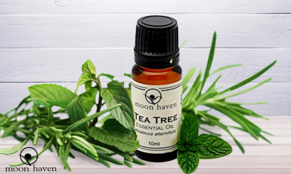 MH tea tree essential oil
