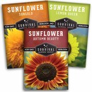 3 packets of decorative sunflower seeds for planting