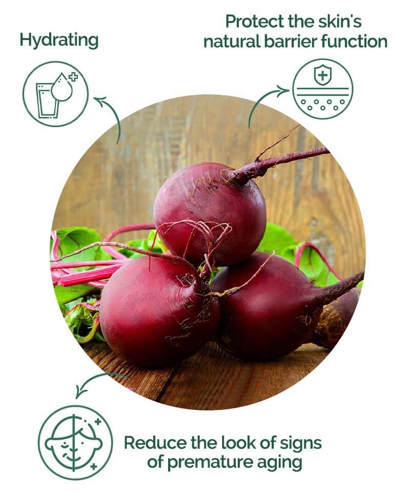 Sugar Beet Extract Derivative 