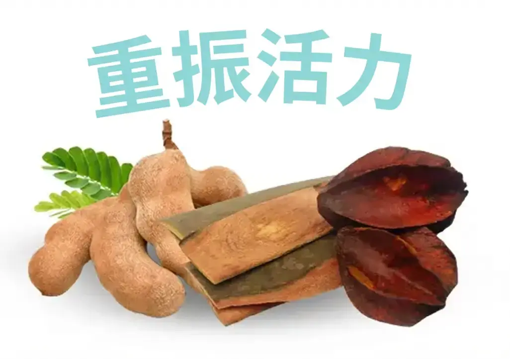 Re-invigorate with the combination of Tamarind & Arjuna