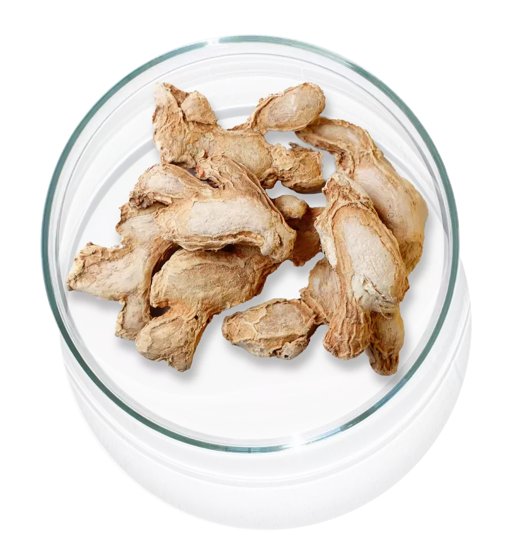 The image shows Apricot which is one of the ingredients in Cleanser