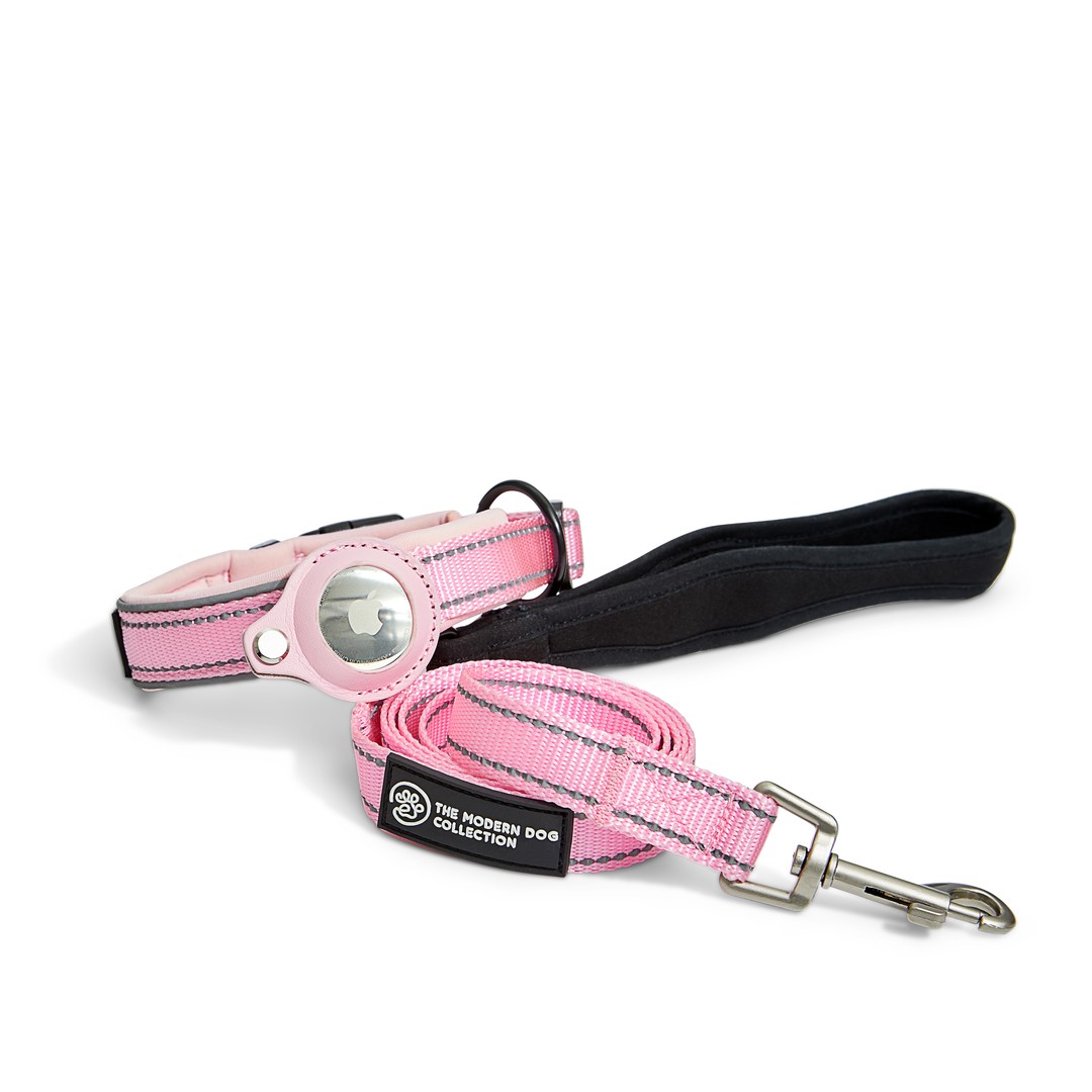 The Big Apple AirTag Collar and Leash in Pink