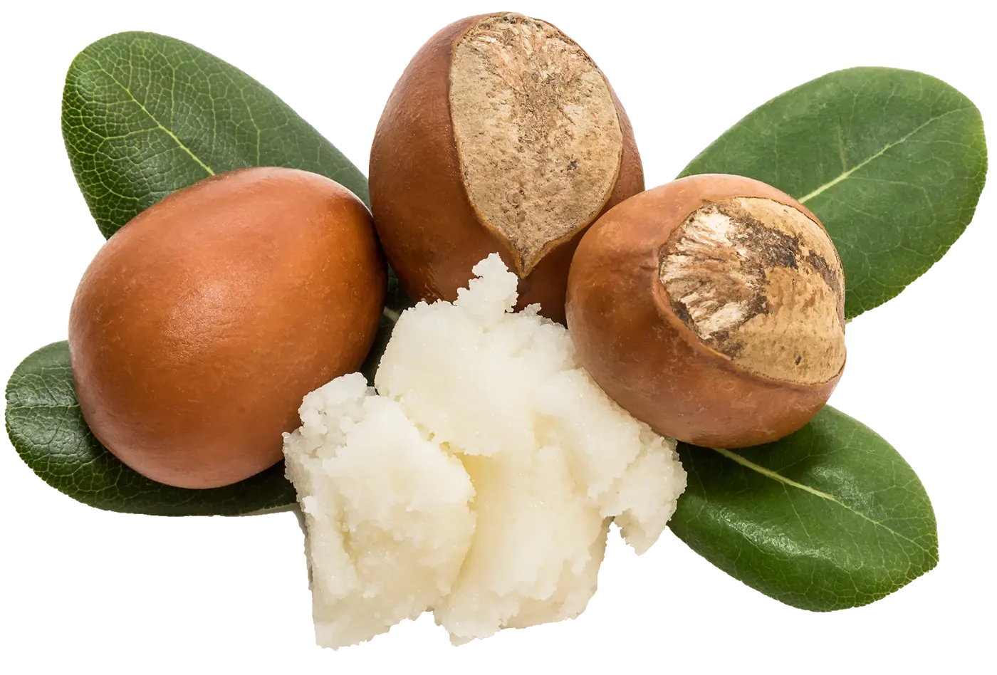 Shea Butter