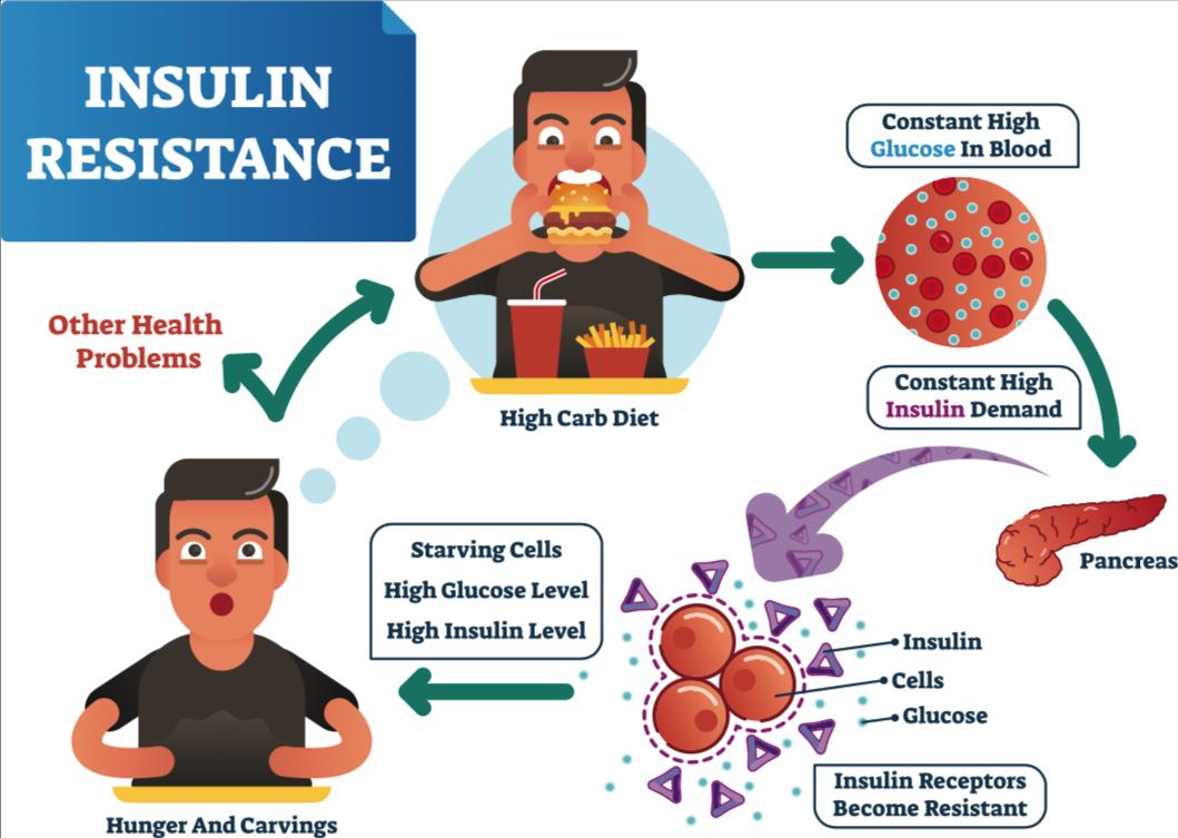Инсулинорезистентность лечение диета быстро Инсулинорезистентность лечение диета быстро