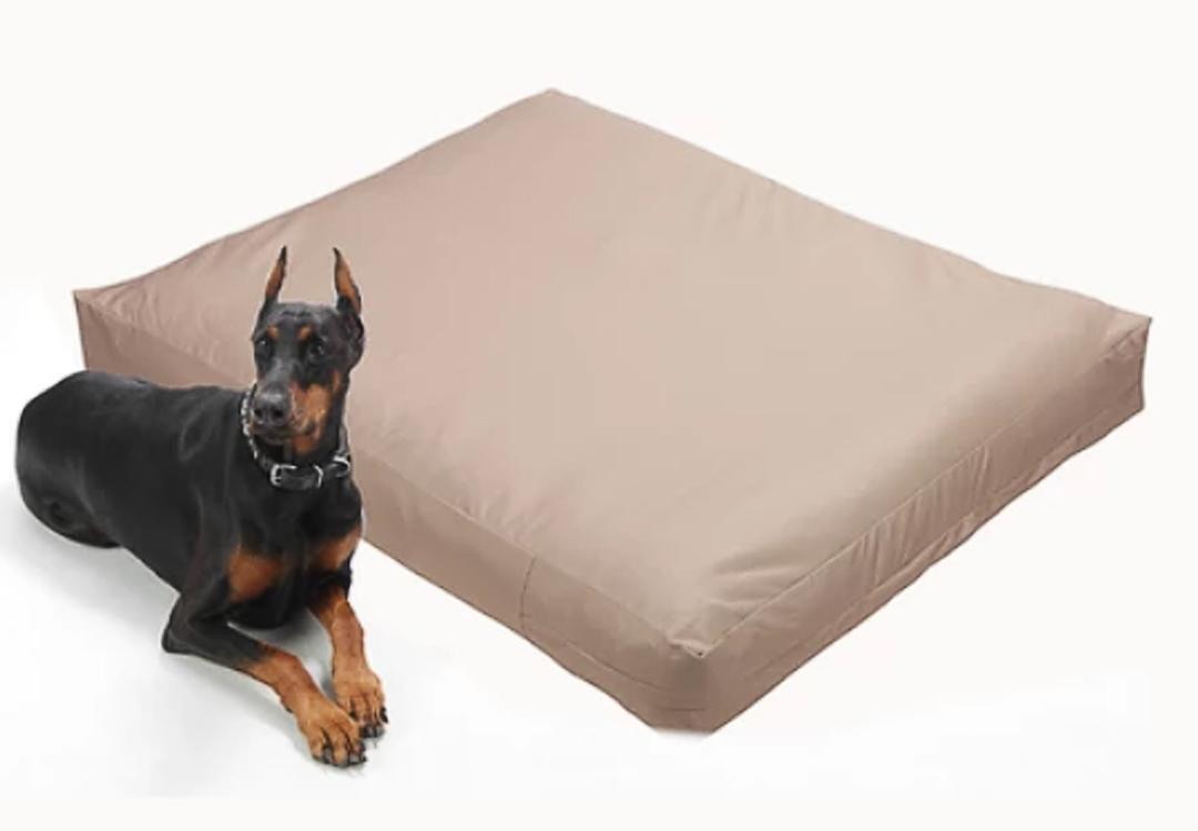 How to Protect Your Dog’s Bed & Keep It Smelling Fresh 4Knines®