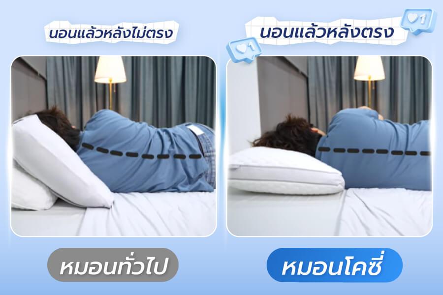 ภาพเปรียบเทียบหมอนโคซี่และหมอนทั่วไป