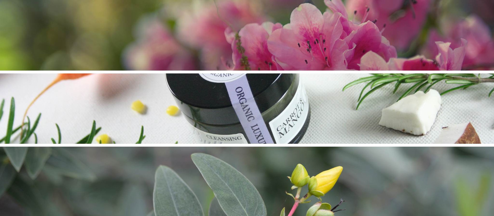 Cleansing Balms & Butters - The Ultimate Guide |The Rose Tree