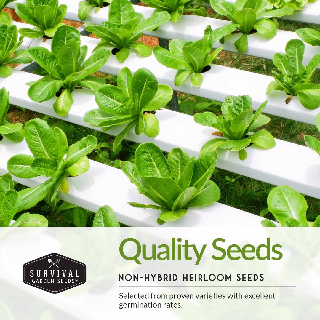 Quality non-hybrid heirloom seeds with proven germination rates