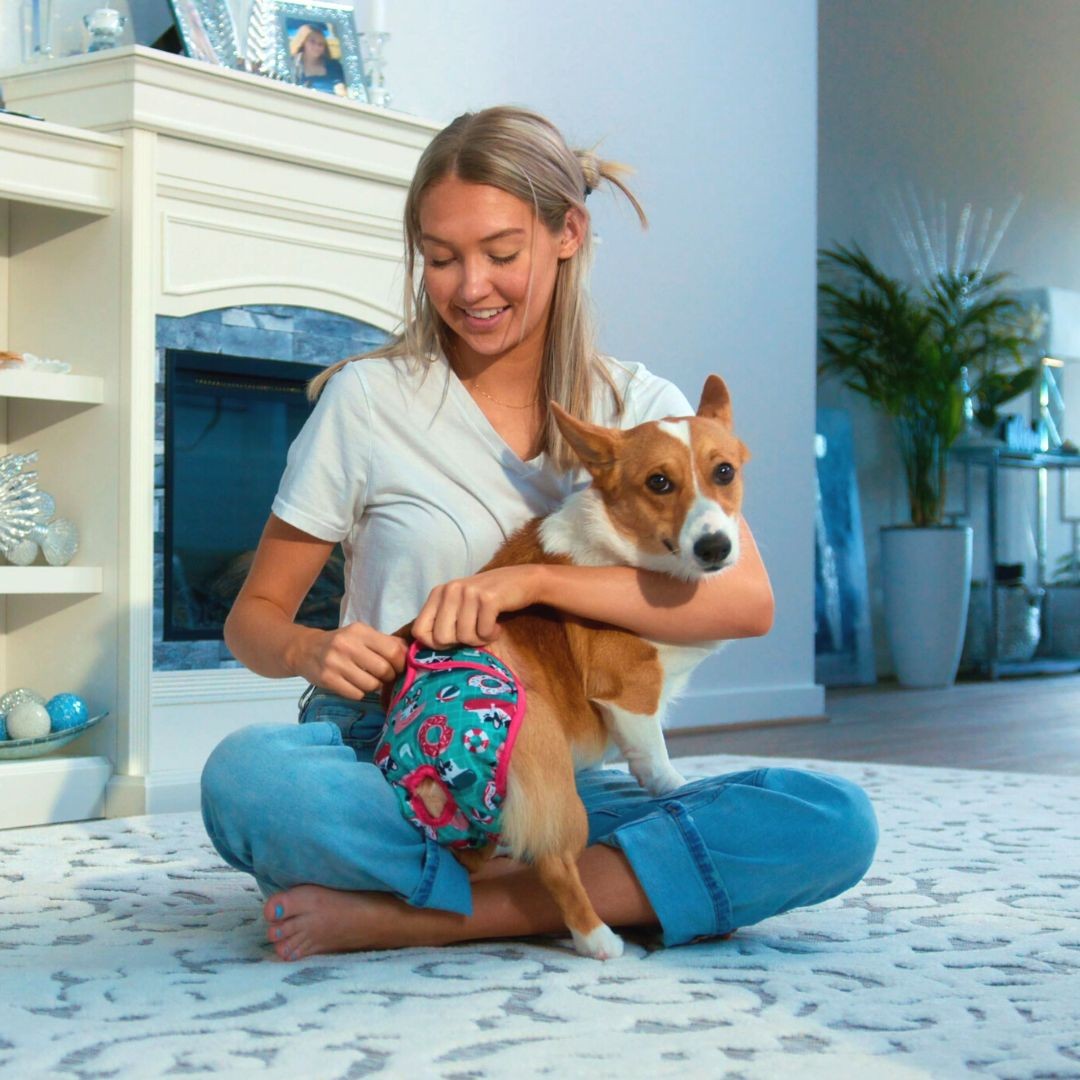 Girl putting a reusable diaper on a dog