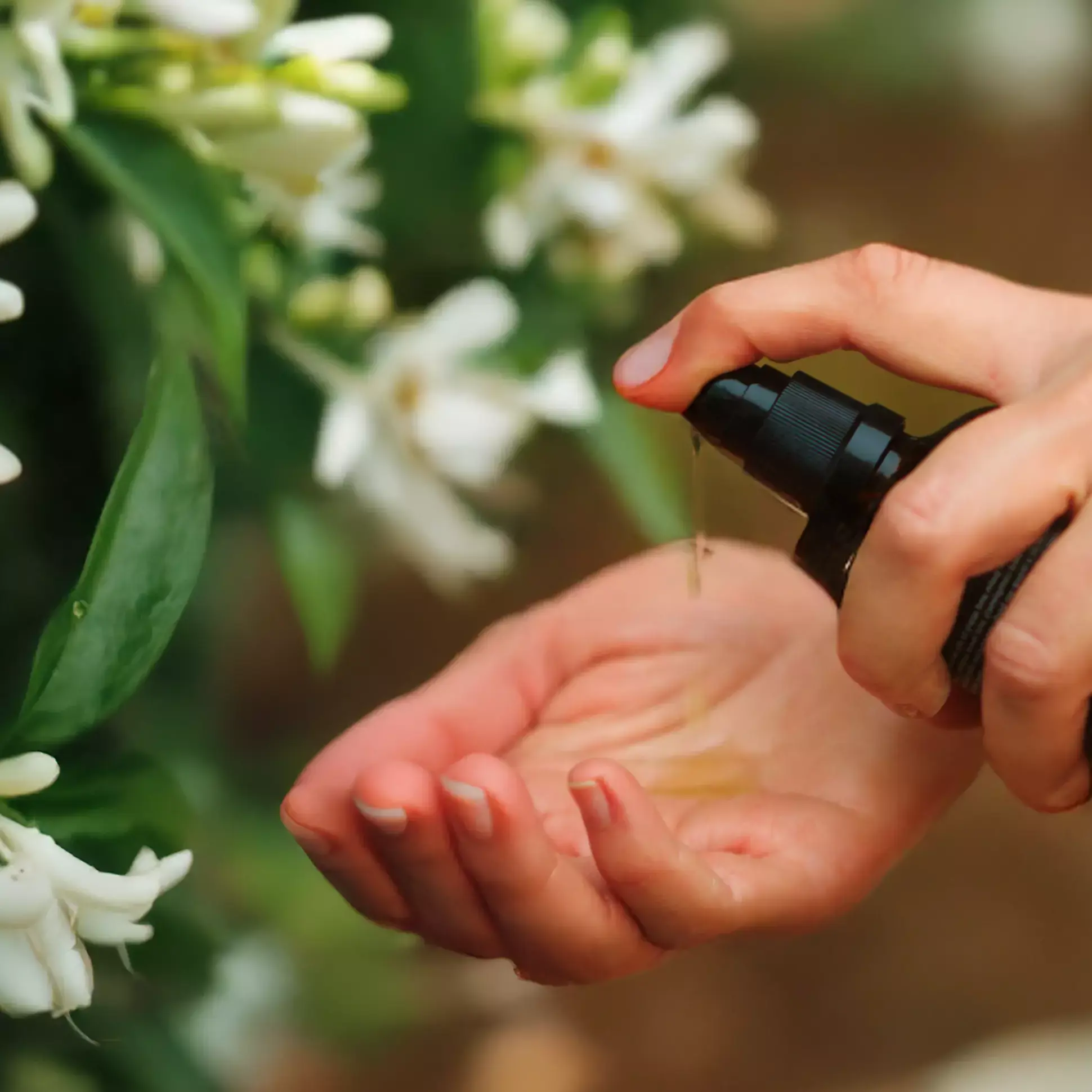 Representative image of cereal brans