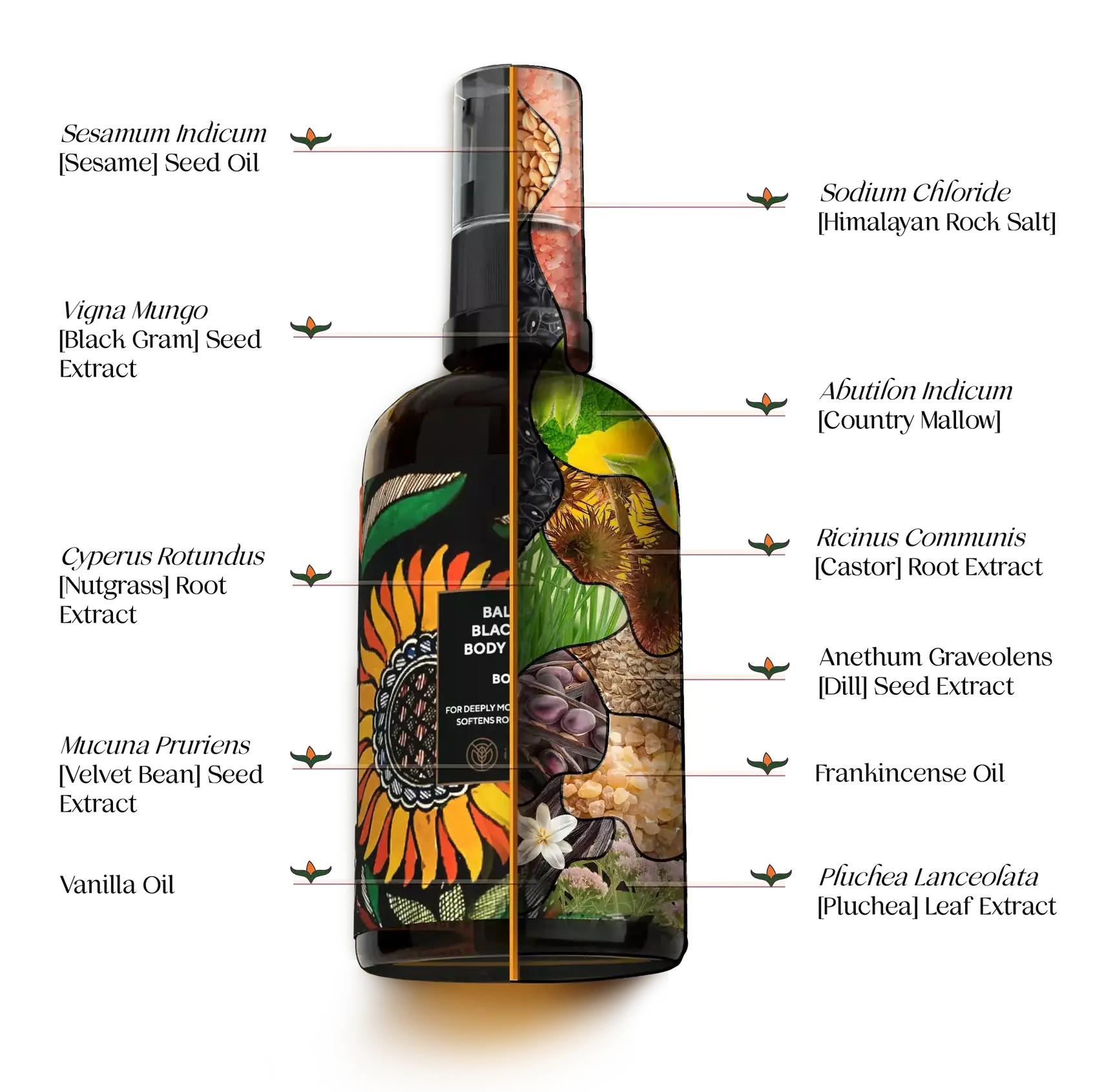 Balaayah unique natural ingredients list