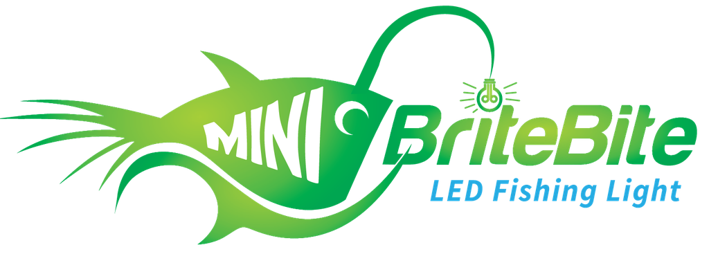 mini britebite led fishing light from illumisea