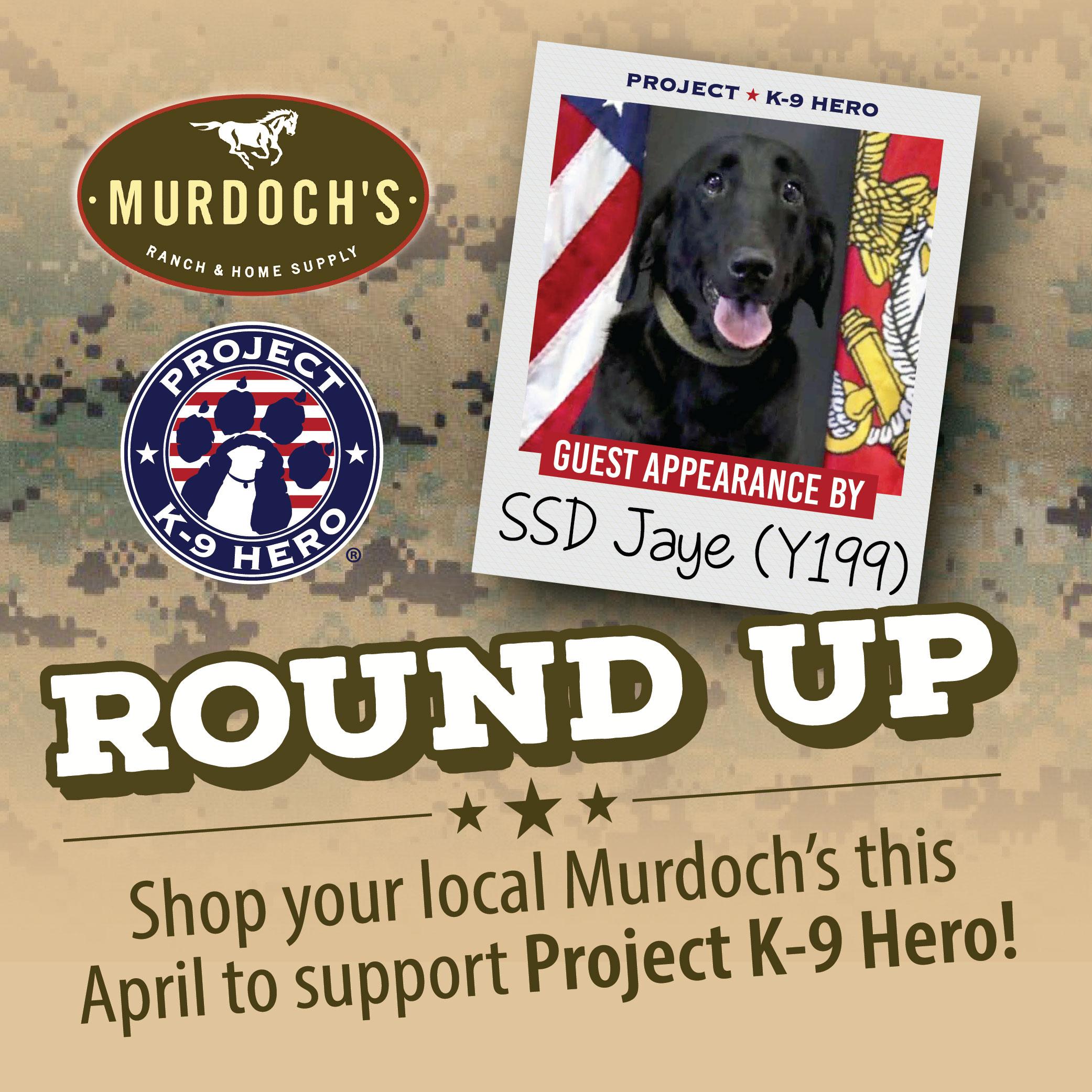 pharmore ingredients logo