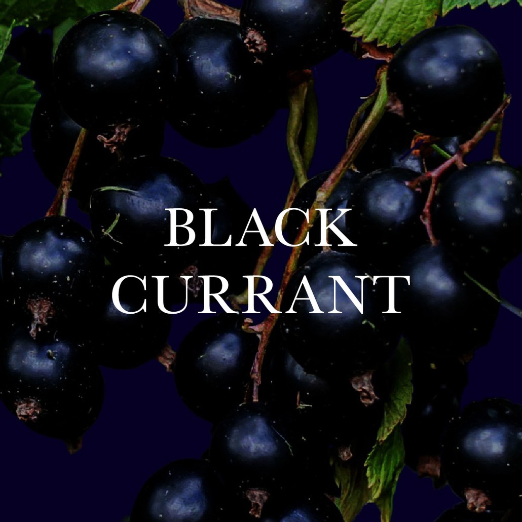 Black Currant Accord