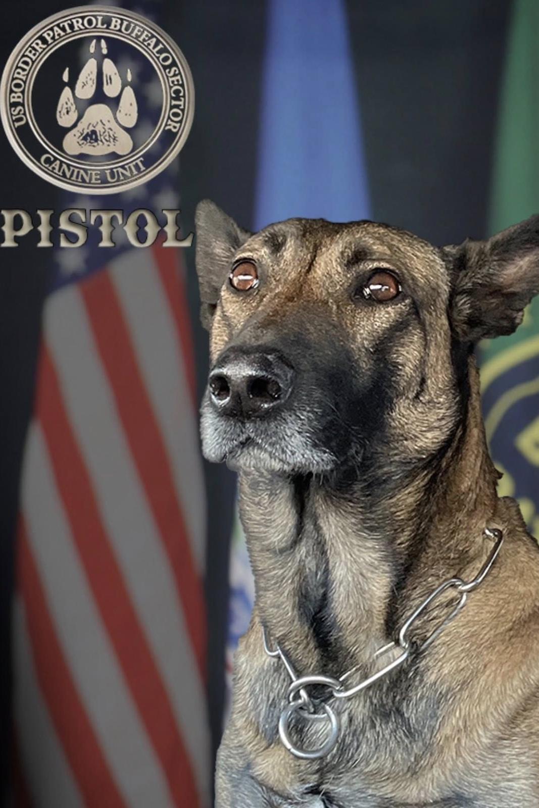k9 pistol