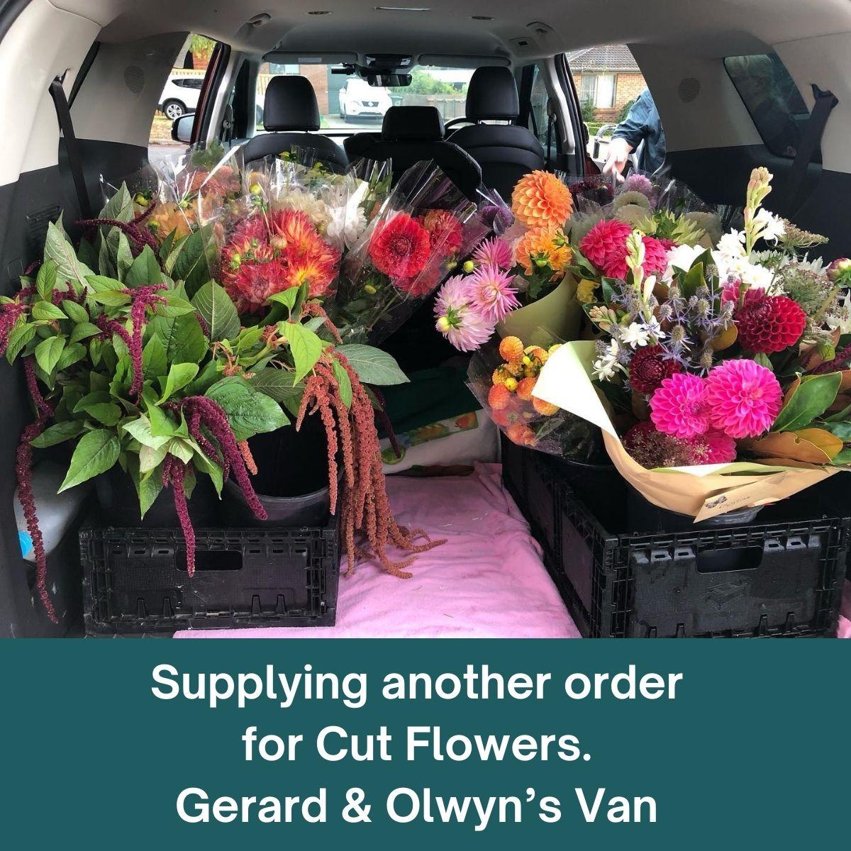 Supplying another order for Cut Flowers. Gerard & Olwyn’s Van