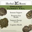 4 turkey tail mushrooms and a pile of powder with benefits listed. Immune supports, promotes gut health, supports energy levels, cognitive health.