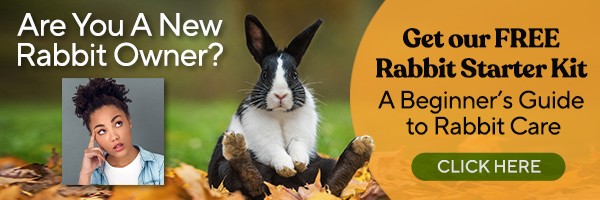 Are you a new rabbit owner? Get our FREE Rabbit Starter Kit, A Beginner's Guide to Rabbit Care.