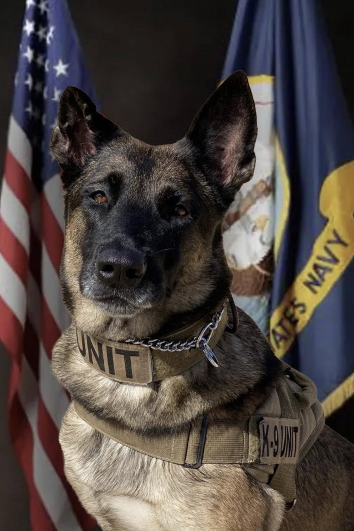 mwd nikita 381