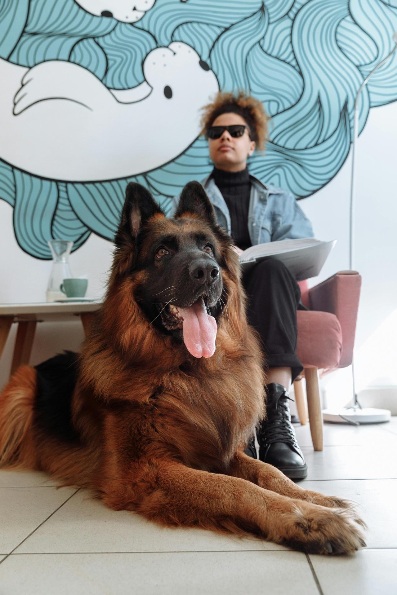 masculine german shepherd