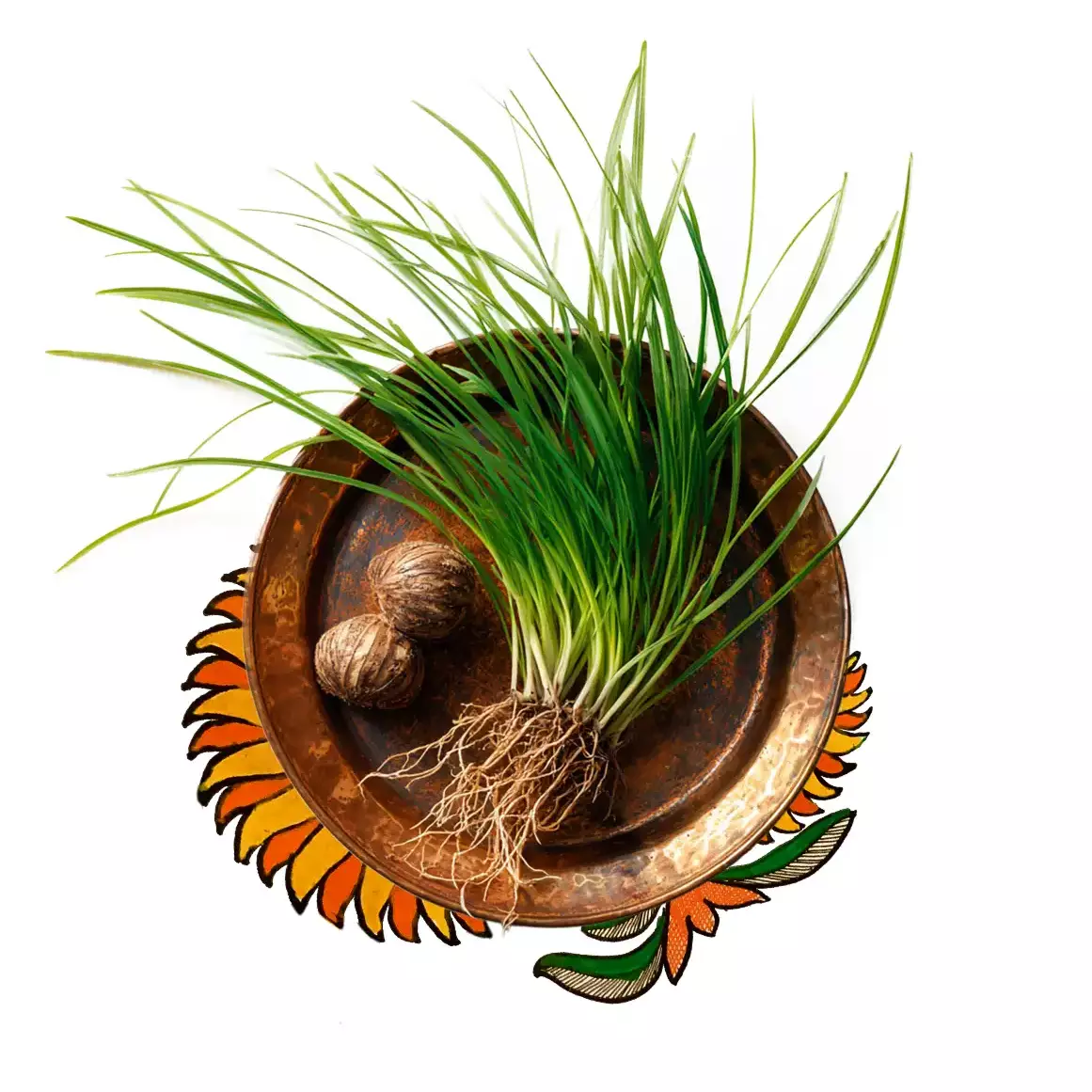 nutsedge
