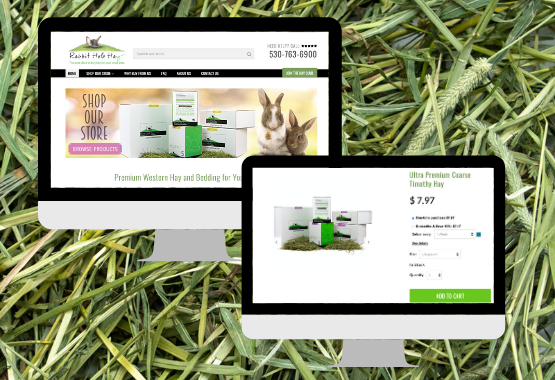 Republiek Afleiden aantrekken The Best Hay Comes From Online - Just Ask Your Rabbit, Guinea Pig, or |  Rabbit Hole Hay
