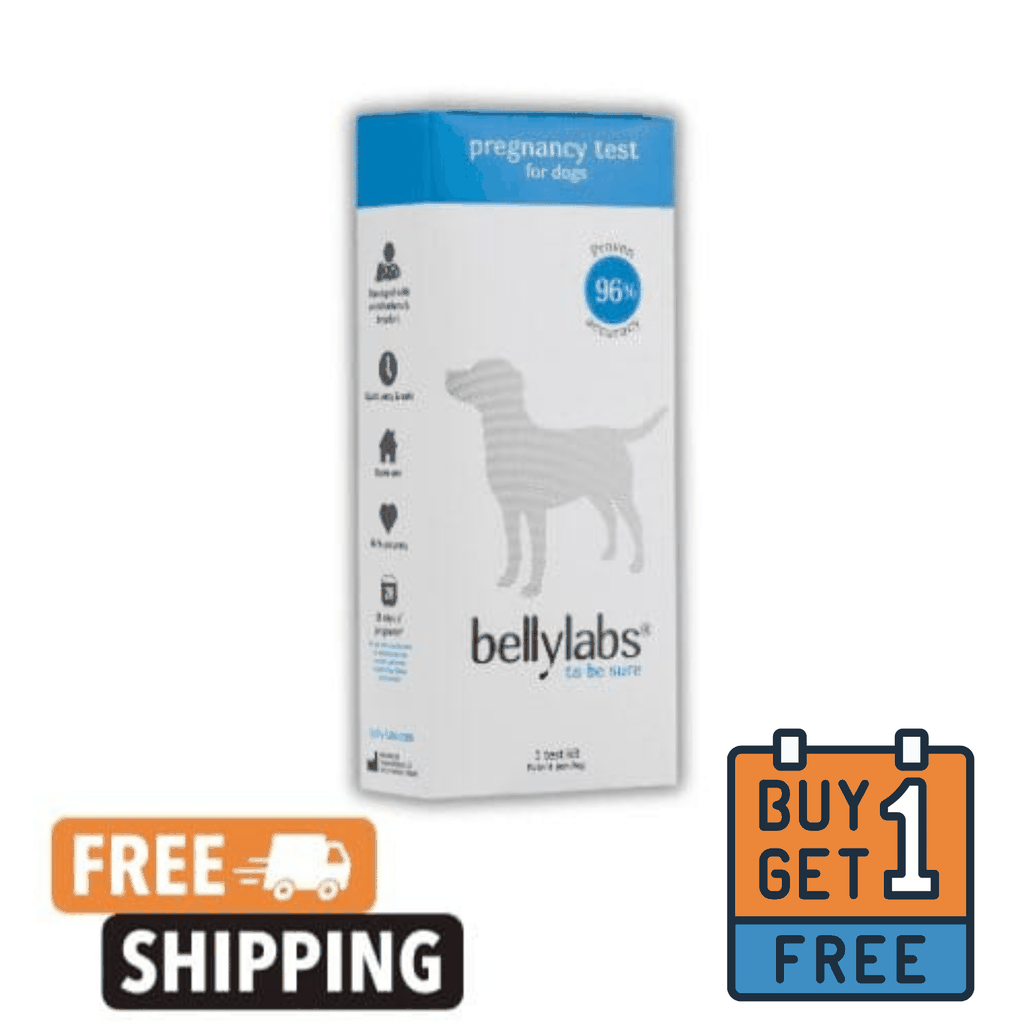 Dog Pregnancy Test