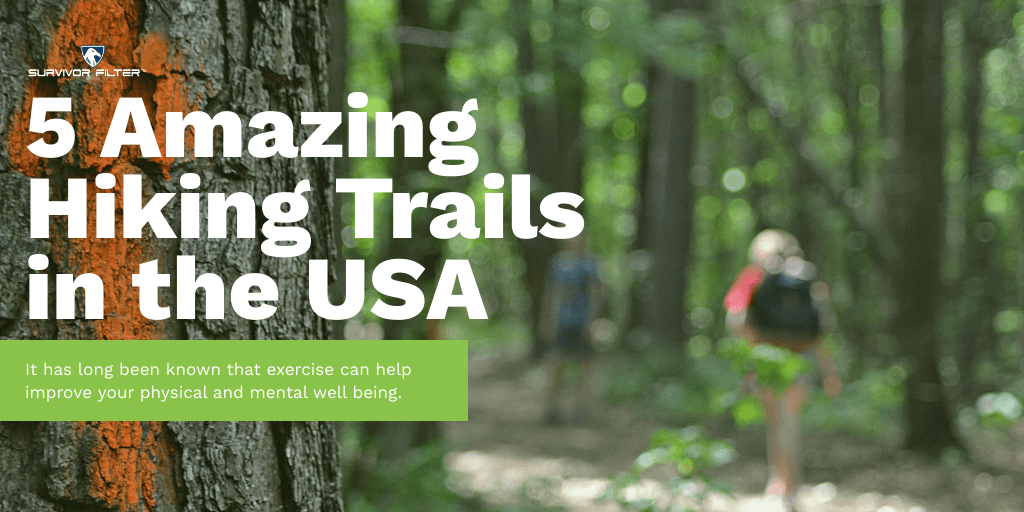 5 Amazing Hiking Trails In The USA that you are SURE to love!