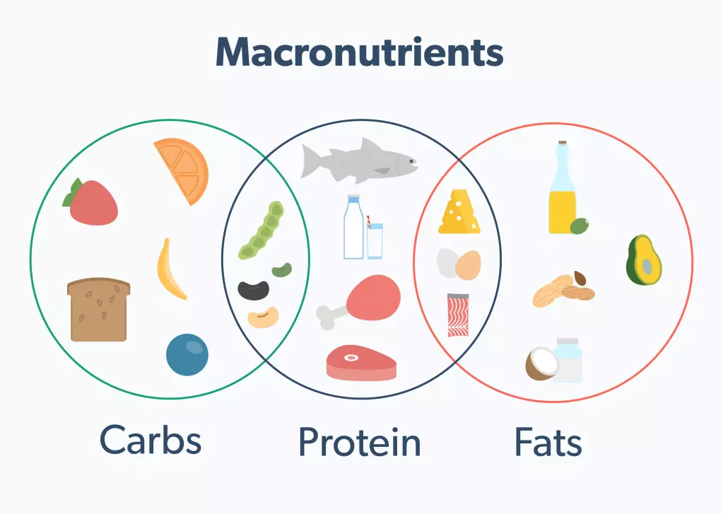 Post workout meal discount macros