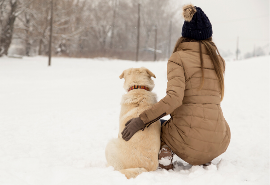 DOG AND OWNER PLAYING IN THE SNOW