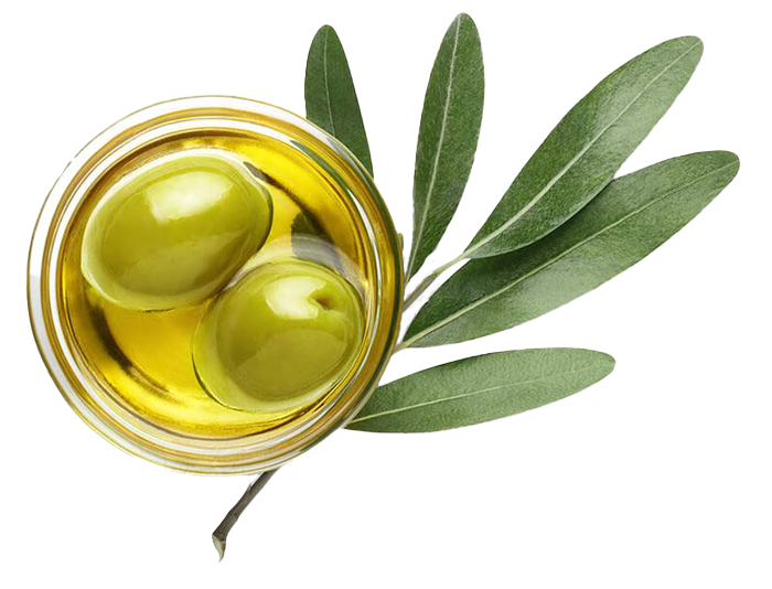 Olive Oil