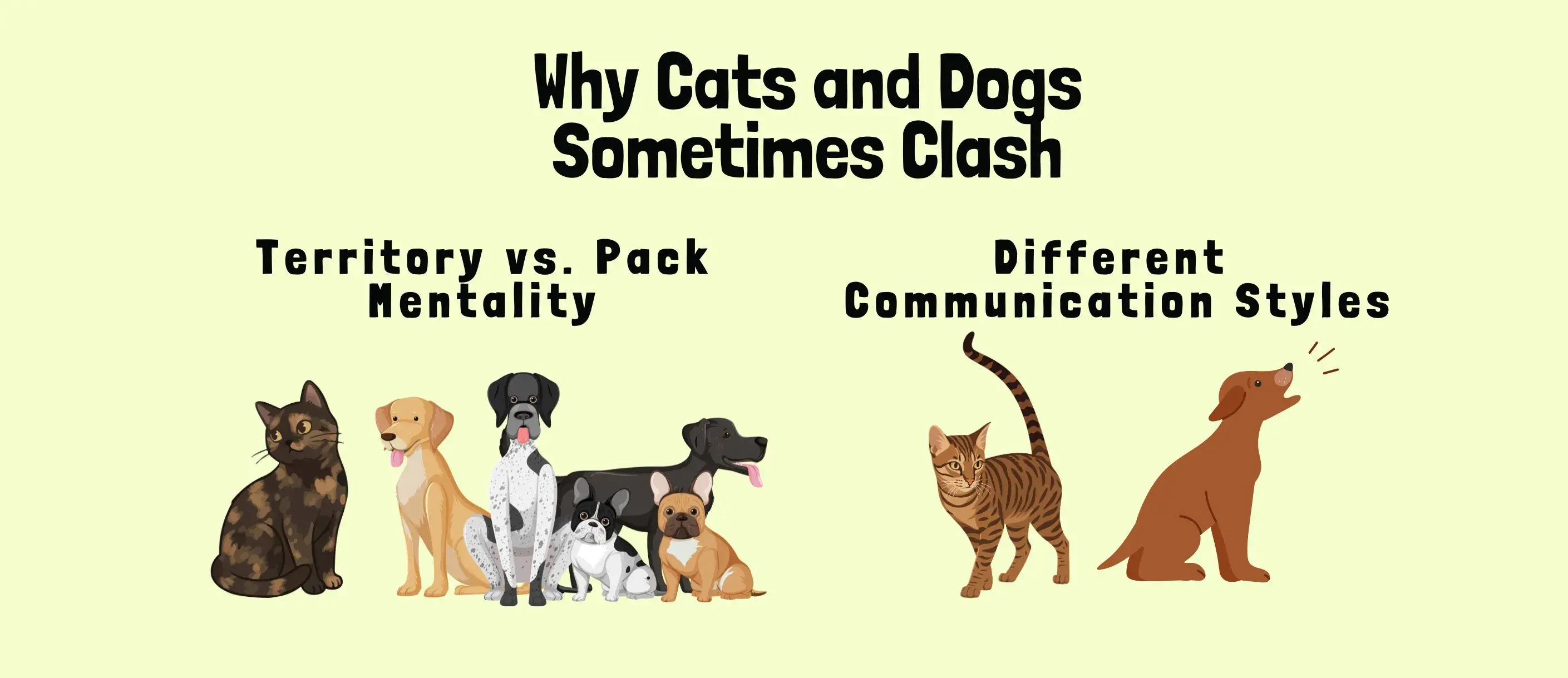 Visual comparison of a cat and dog, emphasizing their distinct behaviors and reasons for occasional clashes.