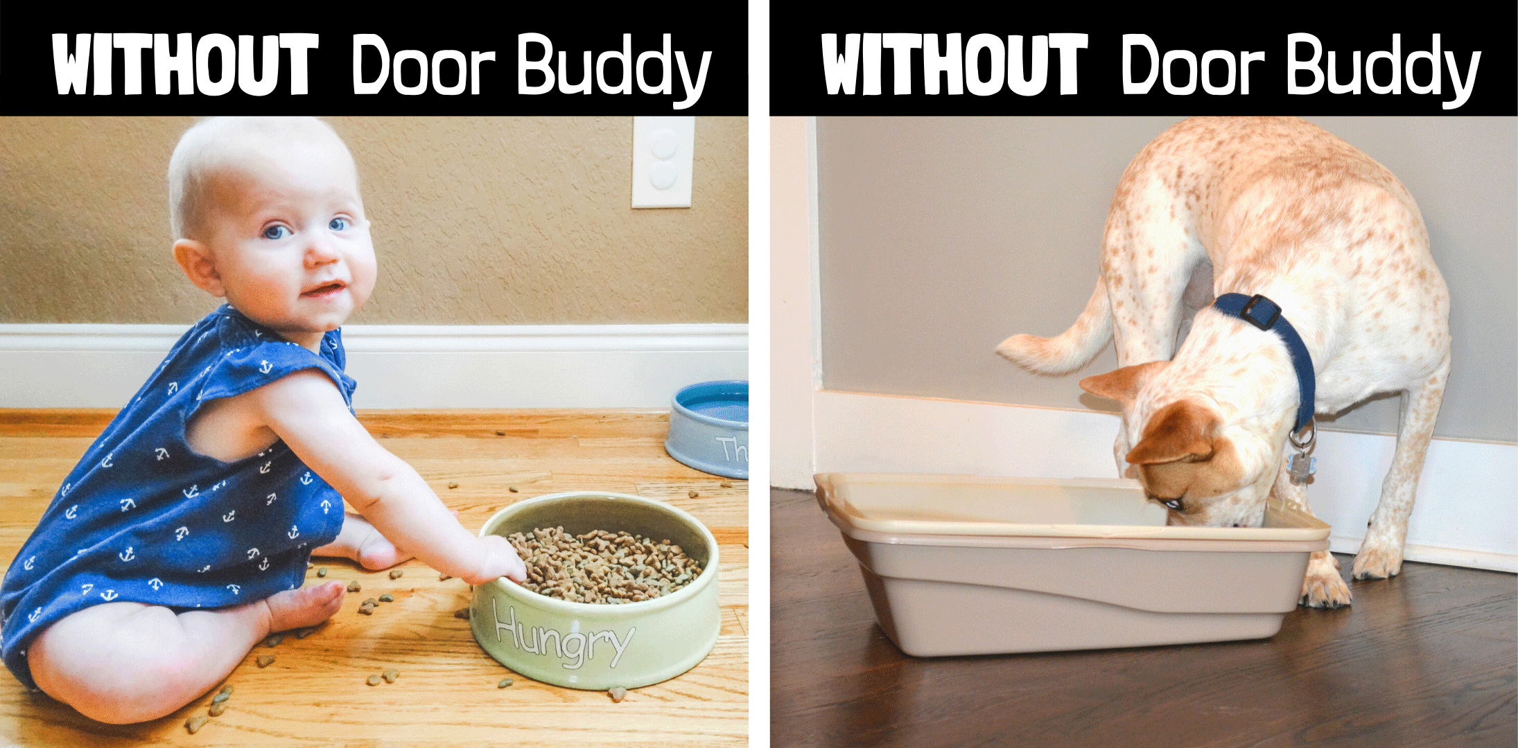 how to dog proof the cat litter tray