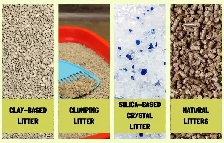 different types of cat litter