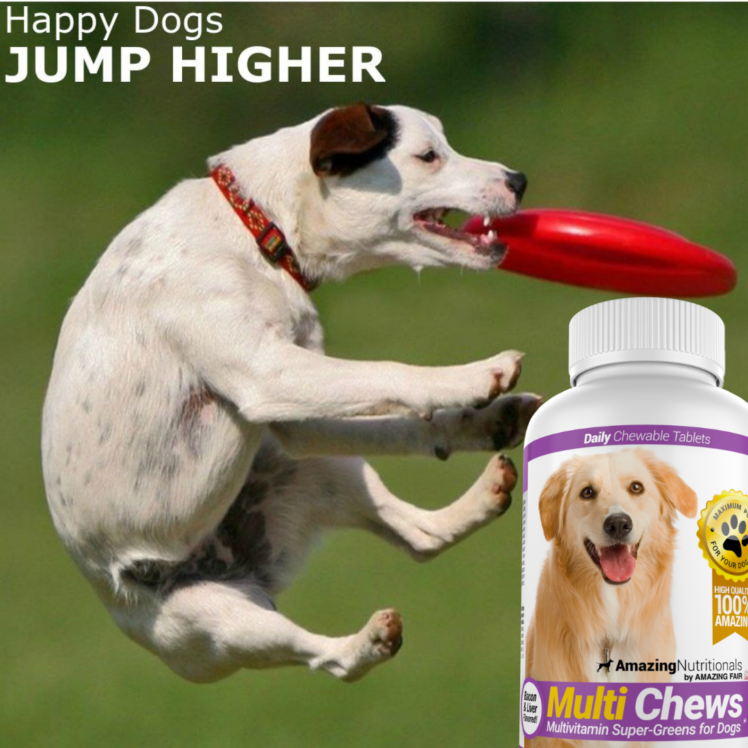 What Happens If A Dog Eats A Multivitamin