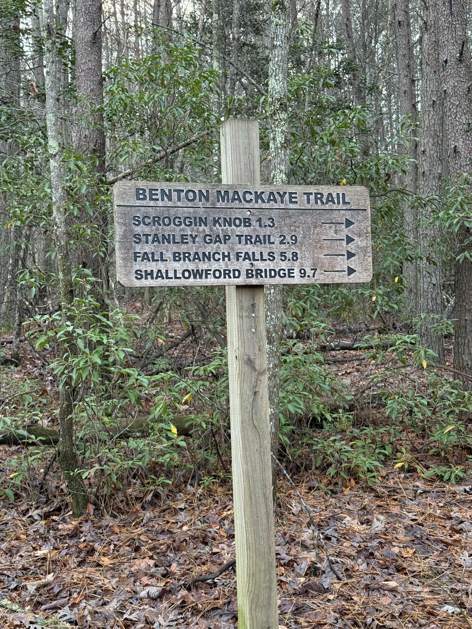 Just a couple of miles down the road is the renowned Benton McKay Trailhead. It offers both easy and challenging hiking trails for any experience level.