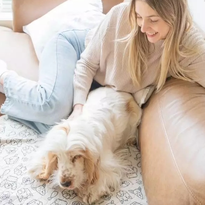 Best Dog Breeds for Apartment Living