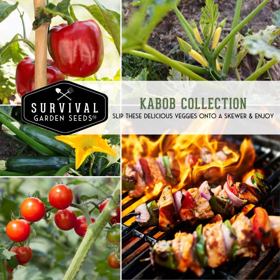 Kabob Vegetable Seed Collection