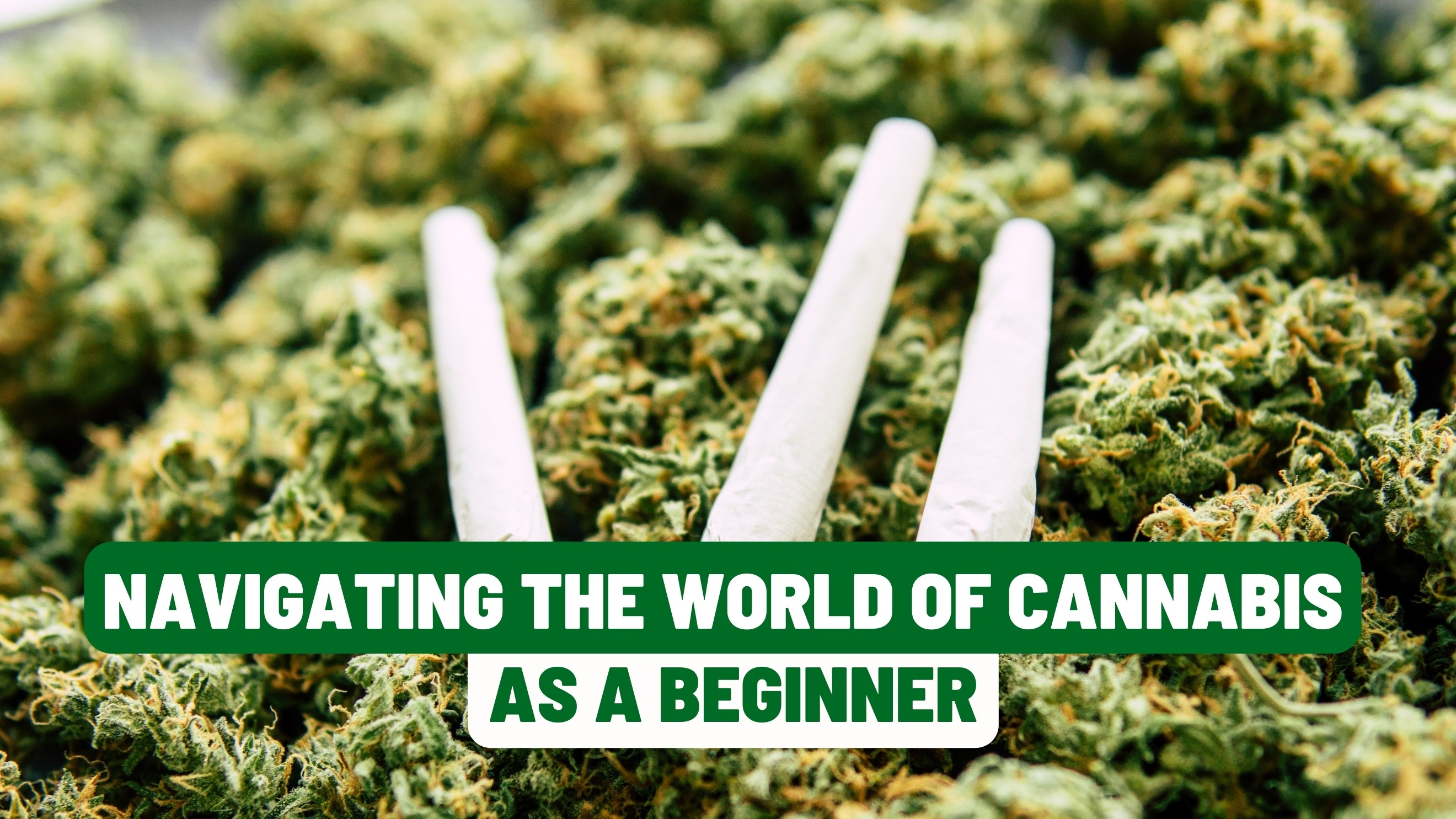 Navigating the World of Cannabis as a Beginner
