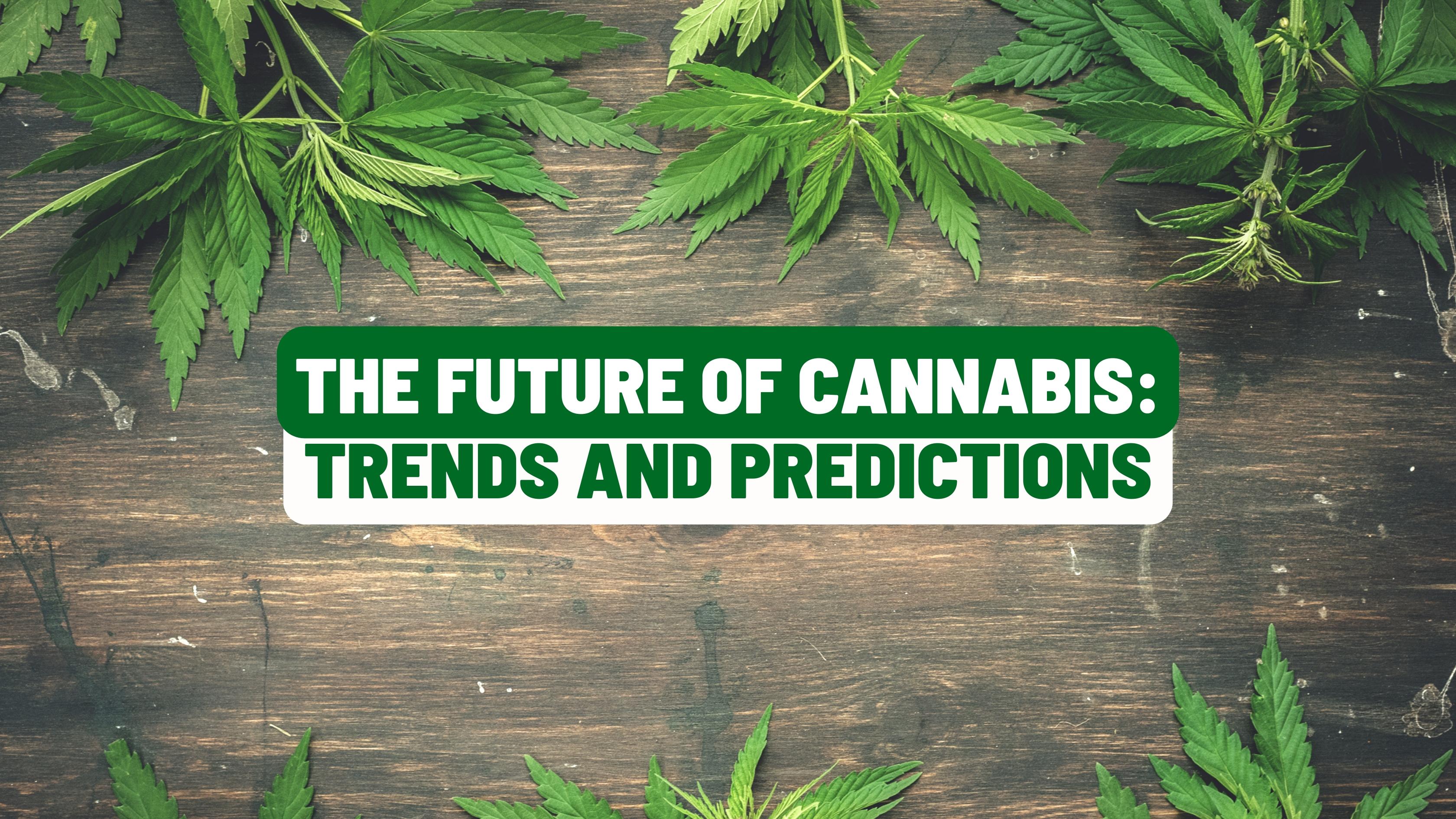 The Future of Cannabis: Trends and Predictions