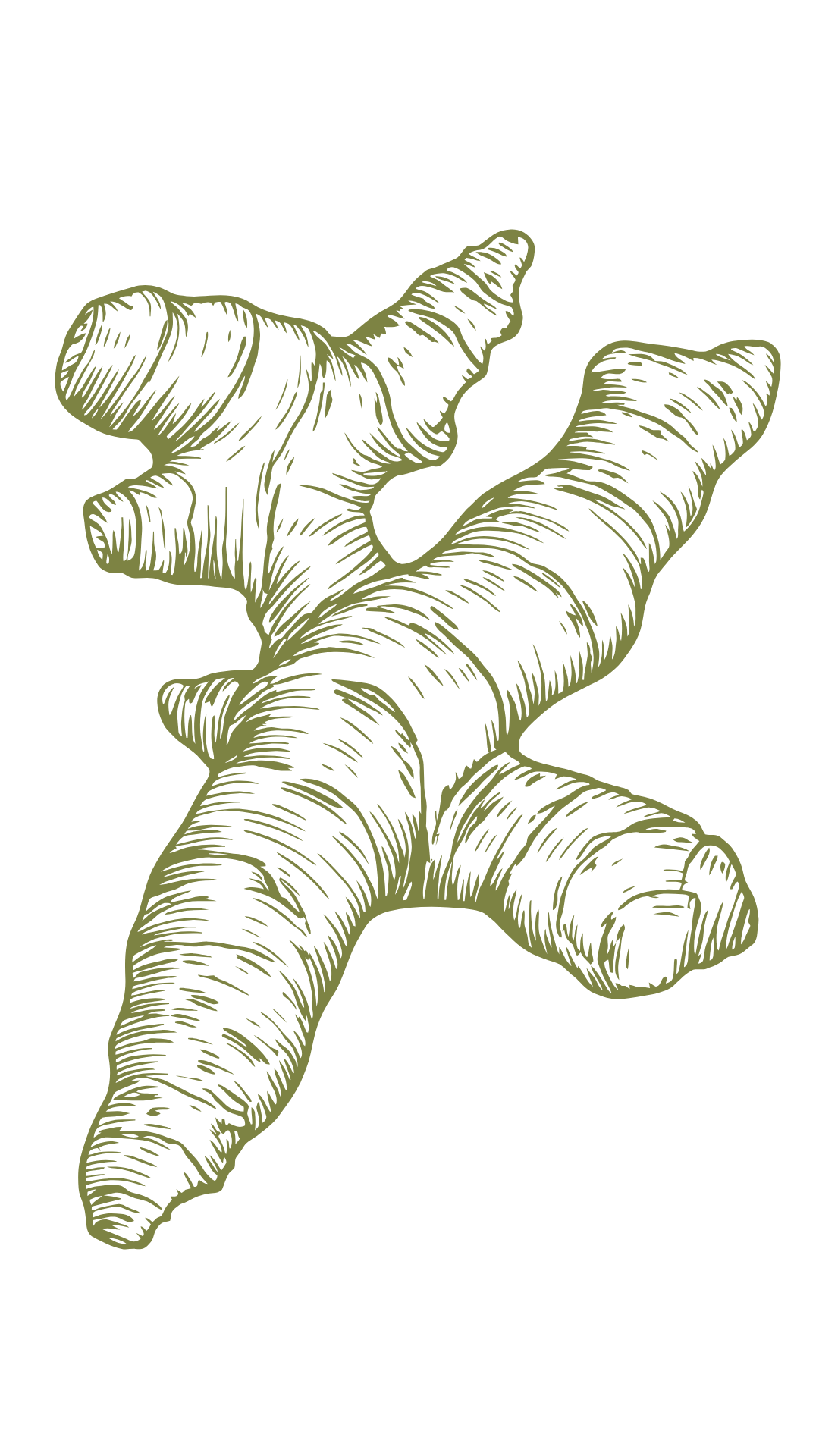 Maslina
