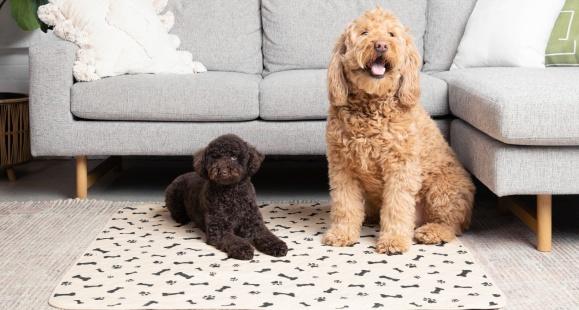 USING DOG PEE PADS TO CATCH ALL THAT WATER MESS AROUND THE BOWL