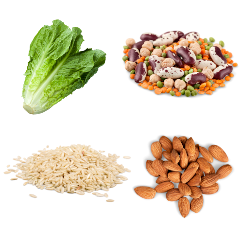 top left corner: lettuce; top right corner: legumes; bottom left corner: uncooked rice; bottom right corner: almonds