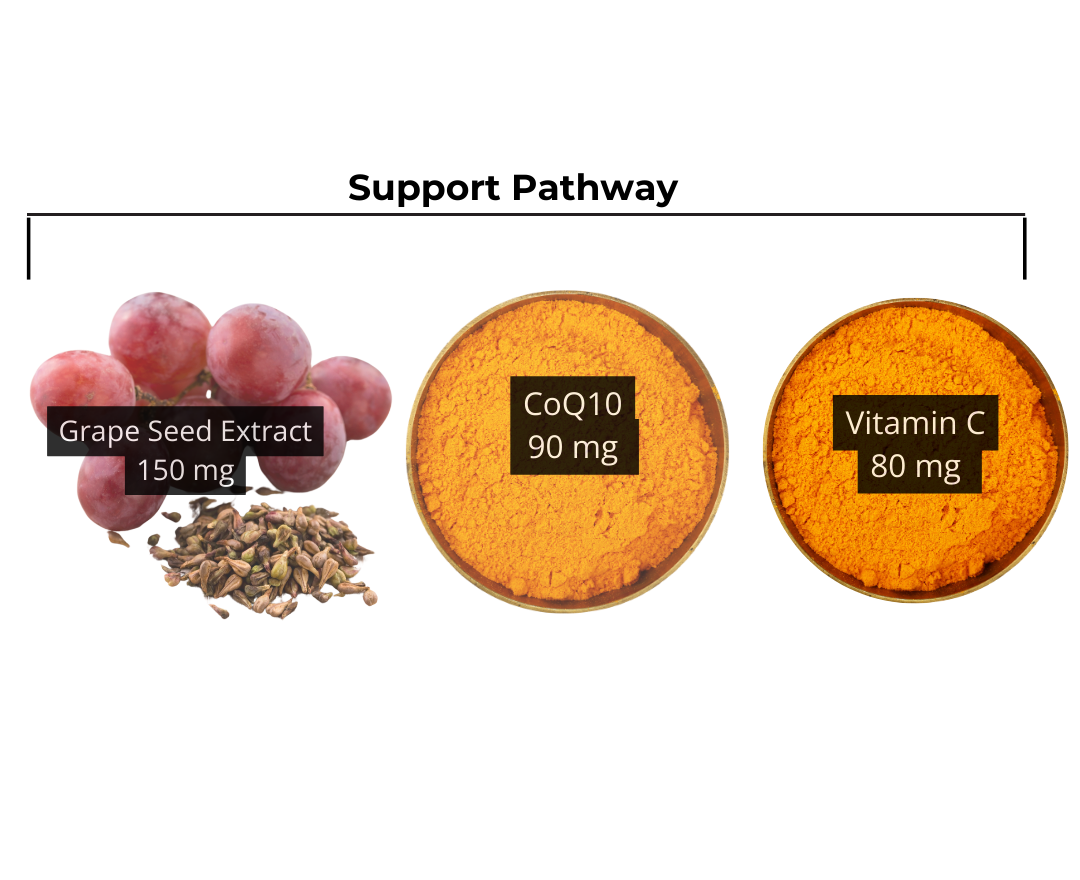 grape seeds, coq10 powder and orange vitamin c powder