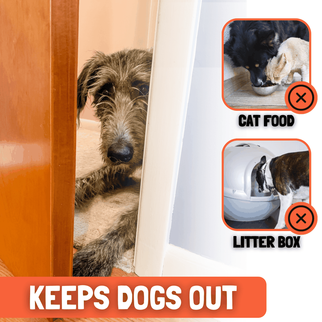 thumbnail image 2 of TGIOW Cat Door Latch, Door Prop For Cats To Keep Dogs Out 2 of 11